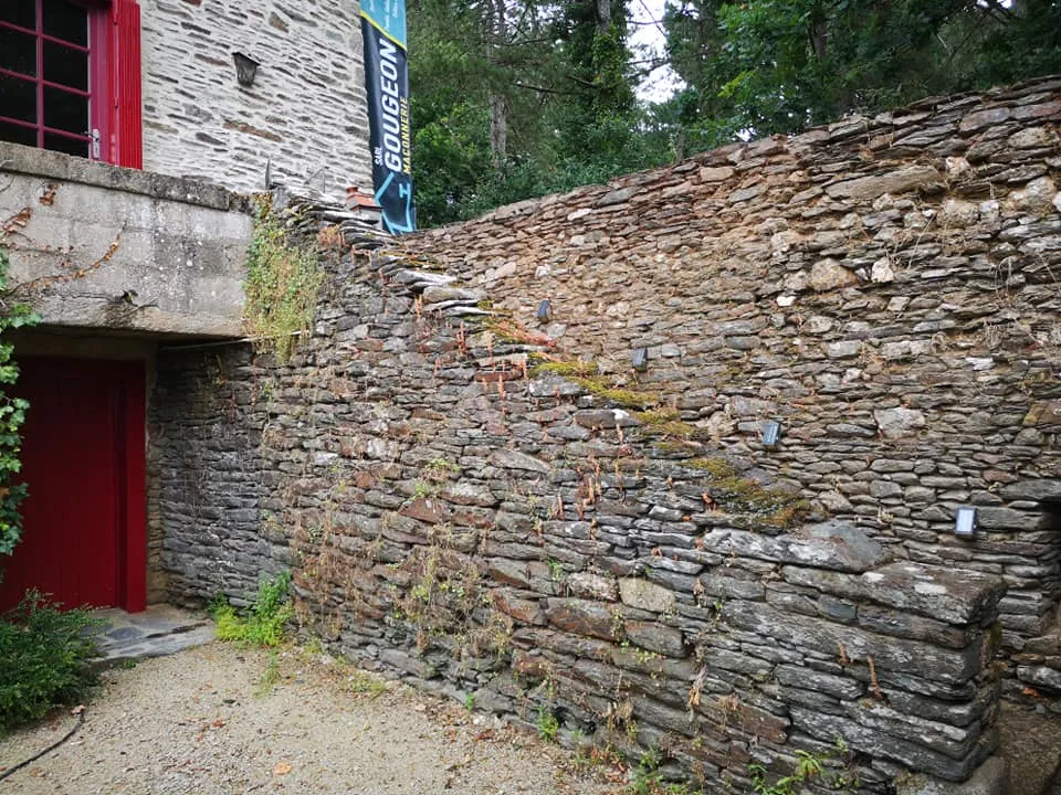 extension vannes