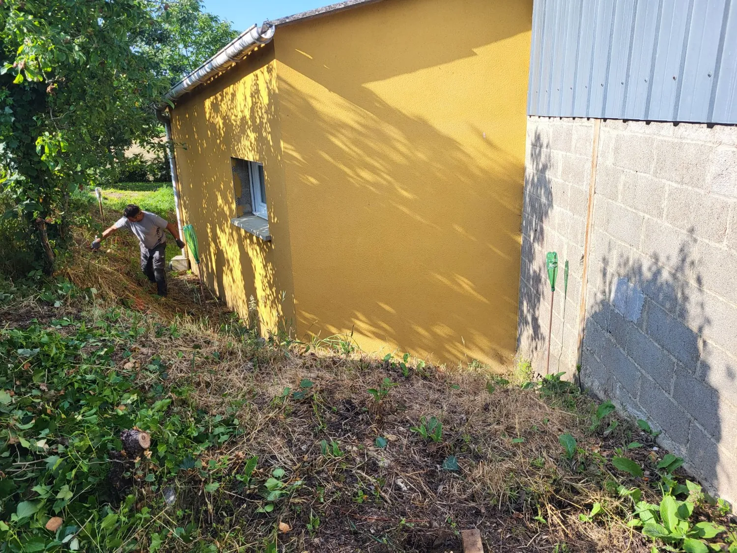 before-image